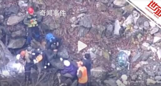日本一棕熊尸體內發現人體殘骸 驗尸后確認為登山死亡的大學生