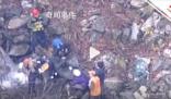 日本一棕熊尸體內發現人體殘骸 驗尸后確認為登山死亡的大學生