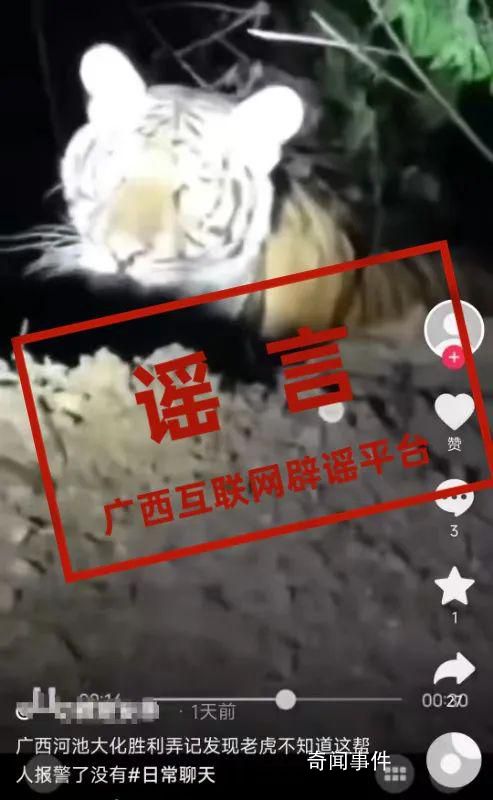 官方辟謠廣西兩地出現野生老虎 提醒大家小心注意