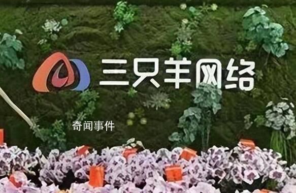 三只羊網絡CEO回應上市傳聞 不是在為將來上市做準備