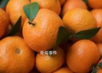 男子患腎病吃半個月桔子查出尿毒癥 千萬不要大量吃桔子