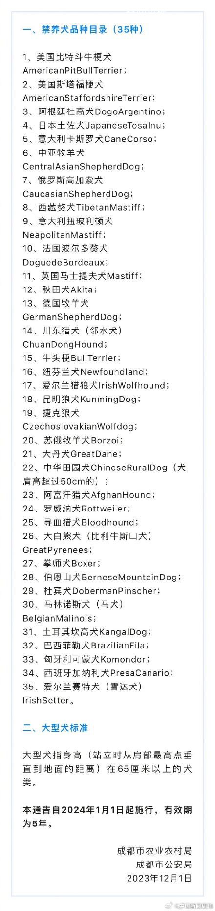 羅威納犬被成都納入禁養犬名單 該規定自2024年1月1日起施行