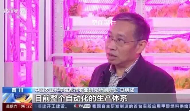 20層“高樓”里種菜 首座無人化垂直植物工廠投入使用