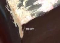 房東出租僅兩月的房子被“扒皮” 窗臺上滿是狗屎用餐巾紙包著