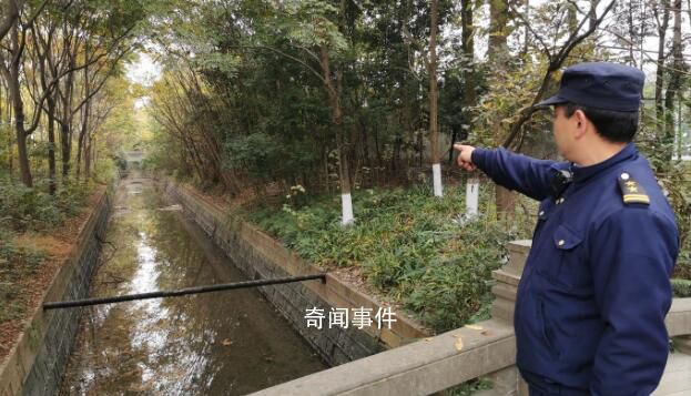 為了救小狗大學放干了護校河的水 引熱議
