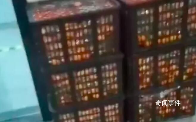 一車橘子被檢測站卸8筐僅找回4筐半 貨主懷疑被吃