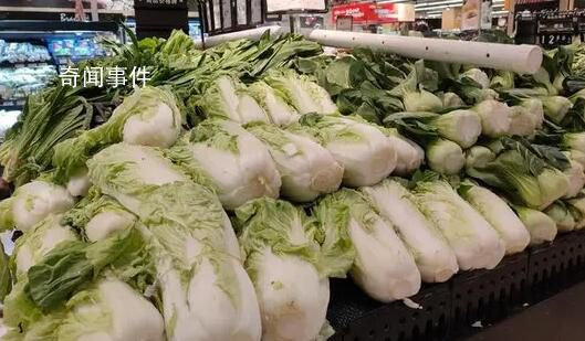 白菜批發(fā)價最低2毛一斤 官媒發(fā)聲