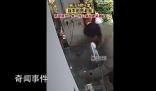 大哥徒手4秒6連掌送鼠鼠“回家”
