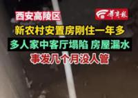 被狗咬傷男童家屬仍在找狗主人 工作人員稱此事還在核實當中