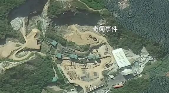中央督察組點名福建南安 督察進駐前夕突擊種樹鋪草部分已枯死