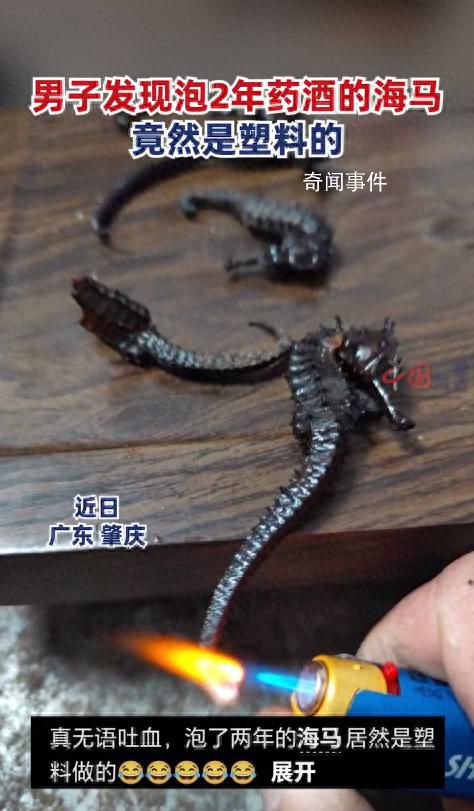 男子發現泡2年的藥酒里海馬竟是塑料