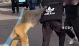 猴子強搶男子食物被踢開 景區回應