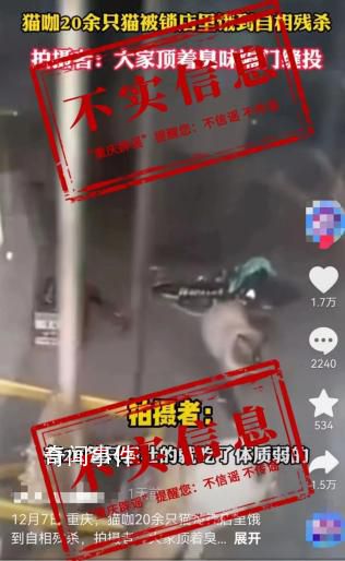 20余只貓被鎖店里餓到自相殘殺 該信息為不實信息