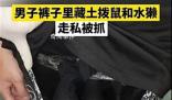 男子褲子里藏動(dòng)物走私被抓