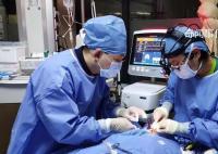 上海8歲女童下腰時摔倒致無法站立 不推薦10歲以下練下腰