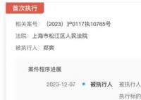 鄭爽被強(qiáng)制執(zhí)行9050萬 因代孕和偷逃稅被封殺致電視劇無法上線