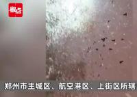 沉浸式體驗鄭州暴雪 最大降雪量21.5毫米全省降雪量前三都在鄭州