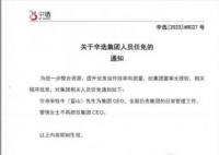 疑被辛巴大主播逼宮 辛選CEO離職