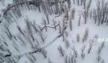 新一輪大范圍雨雪明起來襲 需注意防范