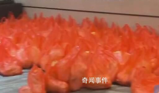 暴雪天物業(yè)囤白菜免費(fèi)送業(yè)主 白菜燉粉條和這個(gè)天氣太配了