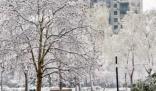 積雪可達(dá)15厘米 暴雪寒潮已近在眼前