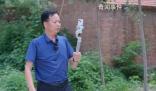 直播解決出行難題的網紅局長被查 孫善豹個人資料簡介