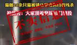 貓咖20只貓餓到互相殘殺?店主回應