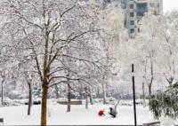積雪可達15厘米 暴雪寒潮已近在眼前