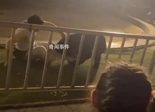 黑熊表演時抱咬馴獸師 動物園回應