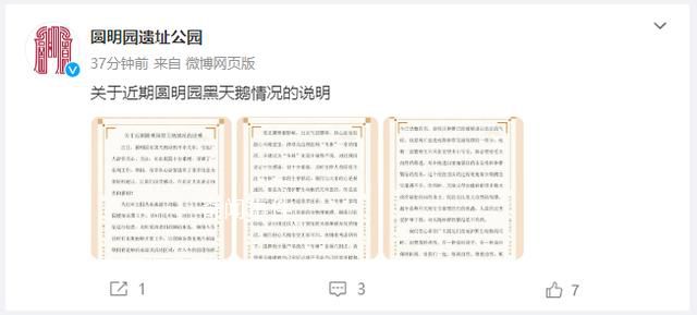 圓明園黑天鵝幼鵝不幸夭折 呼吁廣大朋友做大自然的觀察者不做干預者