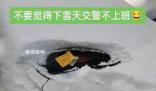 石家莊雪中罰單引熱議 交警回應(yīng)
