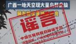 鳥群盤旋是地震前兆?多地辟謠