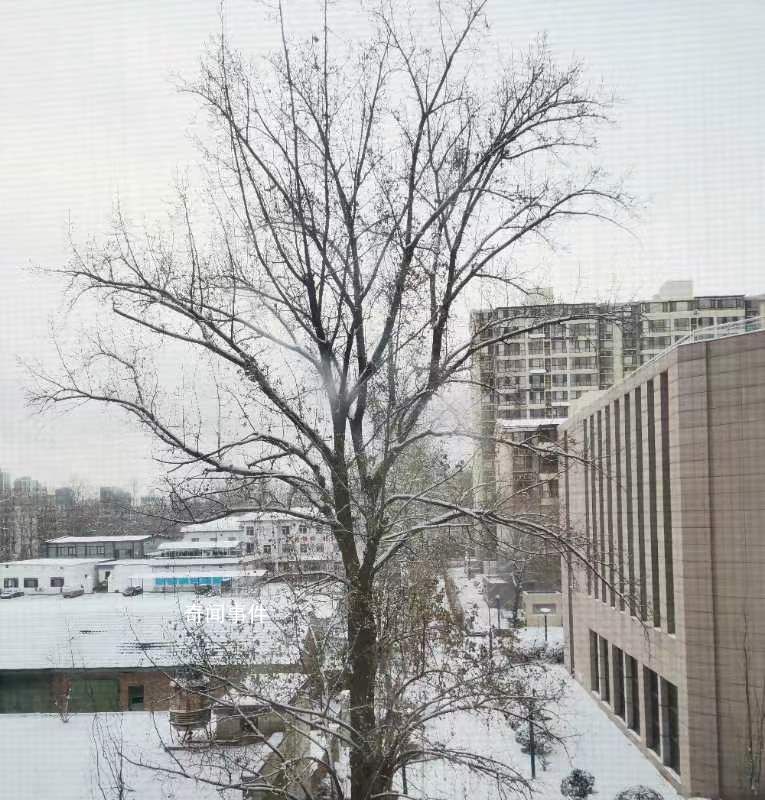 “鵝毛大雪”才是暴雪?