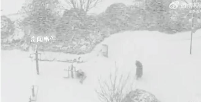 “王炸”級寒潮 塔克拉瑪干沙漠迎來今冬首場降雪