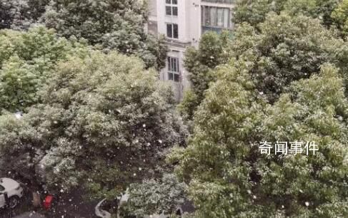 上海下雪啦 讓早起的市民頗感驚喜