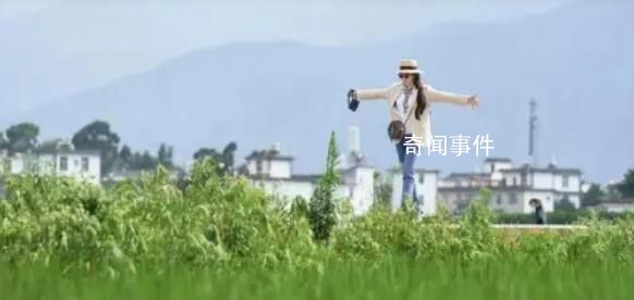 《去有風的地方》獲200萬元補助