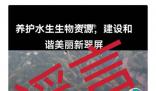 往長江放生鱷雀鱔?宜賓辟謠