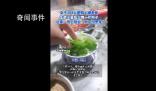 168元火鍋套餐生菜只有1片葉子 感覺坑人
