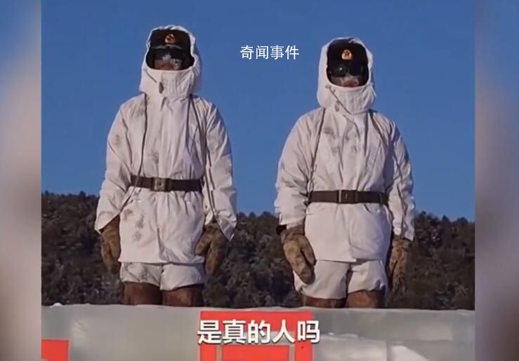 游客以為紋絲不動的哨兵是仿真人