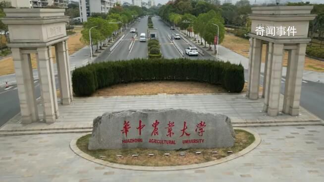 “不配合造假就不讓畢業” 相關事件引發關注