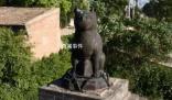 山西鐵貓寺被稱為“貓貓教總部”
