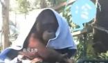 廣州動物園猩猩冷到披上毯子