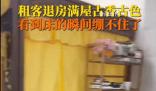 租客退租留下宮里宮氣家具 一床查詢租客精神狀態