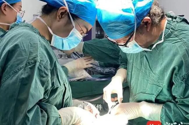 12歲女孩胃里取出20厘米“石頭”
