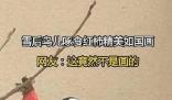 雪后鳥兒啄食紅柿神還原國畫 引發(fā)了廣泛關注