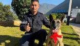 功勛犬執勤被鋼釘扎破腳掌