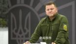 曝烏軍總司令扎盧日內被解職