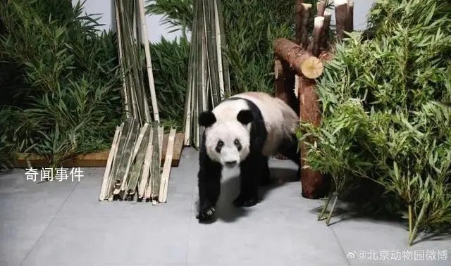 丫丫過小年 美滋滋吃播