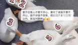 男子套大鵝精準(zhǔn)打擊 收獲滿滿