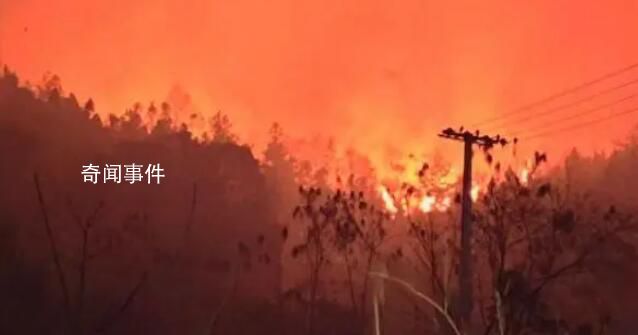 貴州山火五日:“無聲”的萬人救援